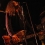 Fred Cole
