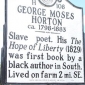 George Moses Horton