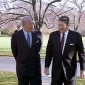 George P. Shultz
