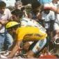 Greg Lemond