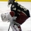 Ilya Bryzgalov