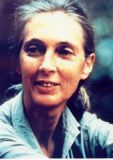Jane Goodall