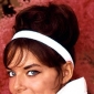 Jo Collins