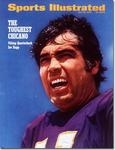 Joe Kapp