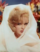 Joey Heatherton