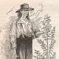 Johnny Appleseed