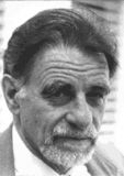 K. Alex Muller