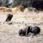 Kevin Carter