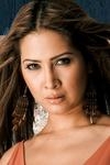Kim Sharma