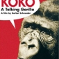 Koko
