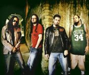 Korn