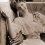 Mabel Taliaferro