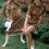 Mary Collinson