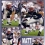 Matt Knutson