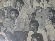 Meles Zenawi
