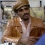 Nathaniel Taylor