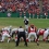 Nick Folk