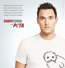Owain Yeoman