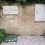 Peggy Guggenheim