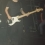 Phil King