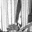 Richard W. Murphy