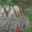 Roger Mortimer