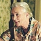 Rosemary Harris