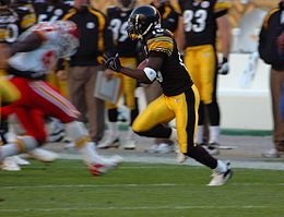Santonio Holmes Redskins