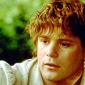 Sean Astin