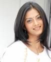 Sindhu Tolani