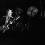 Stephen Stills