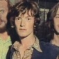 Steve Winwood