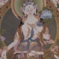 Tara