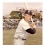 Ted Williams