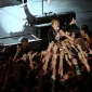 The Hives