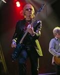 Tom Hamilton
