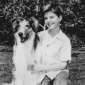 Tommy Rettig