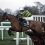 Tony McCoy