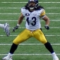Troy Polamalu