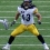 Troy Polamalu