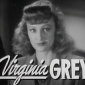 Virginia Grey