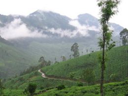 Holidaying in God's own country, Kerala